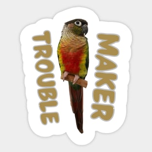 Trouble Maker Conure Bird for men and women Sticker